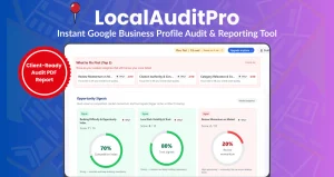 LocalAuditPro